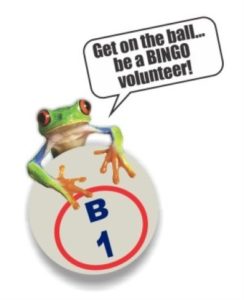 bingo image